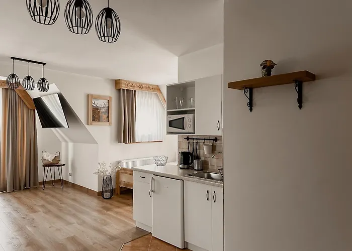 Blizniaczek Séjour chez l'habitant Zakopane