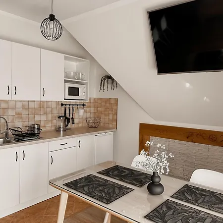 בית אירוח Blizniaczek זקופאנה