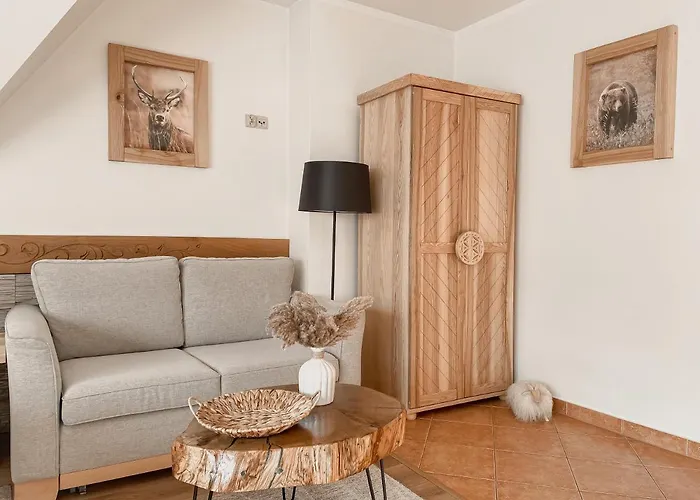 Blizniaczek 民宿 扎科帕内