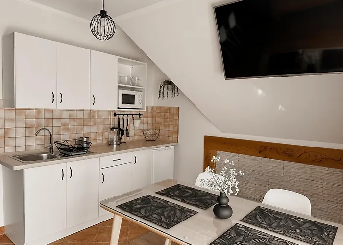 民宿 Blizniaczek 扎科帕内